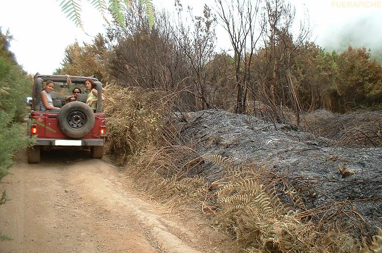 incendio Tenerife 4x4